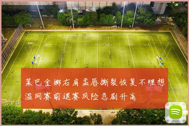 莱巴金娜右肩盂唇撕裂恢复不理想温网赛前退赛风险急剧升高